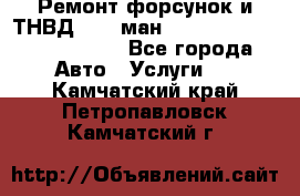 Ремонт форсунок и ТНВД Man (ман) TGA, TGL, TGS, TGM, TGX - Все города Авто » Услуги   . Камчатский край,Петропавловск-Камчатский г.